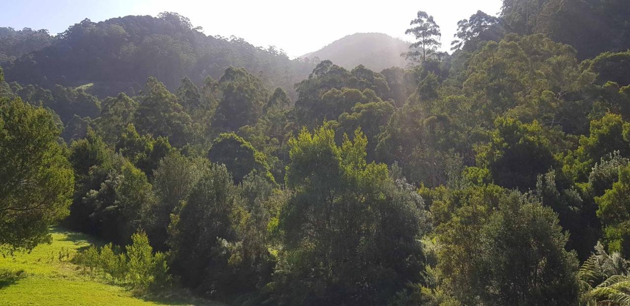 Tall Trees Eco Retreat - Blackwood Cottage Apollo Bay Exteriör bild